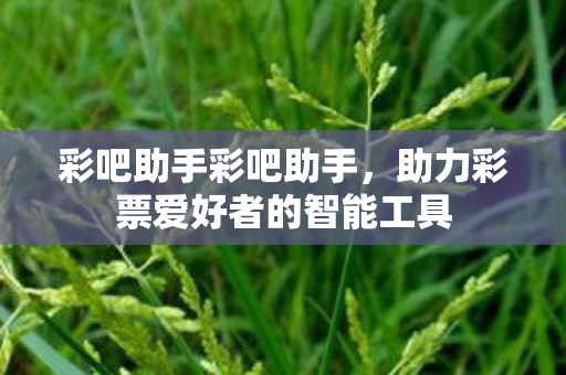 彩吧助手彩吧助手，助力彩票爱好者的智能工具
