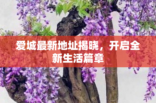 爱城最新地址揭晓,开启全新生活篇章 爱城最新地址揭晓,开启全新生活篇章