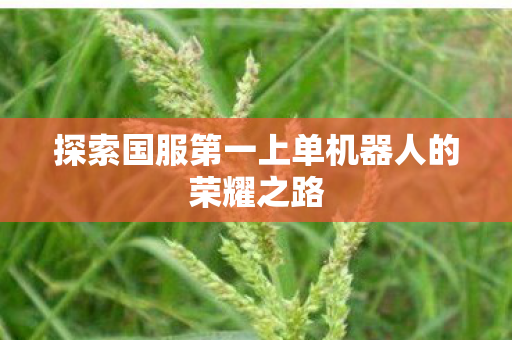 探索国服第一上单机器人的荣耀之路 探索国服第一上单机器人的荣耀之路