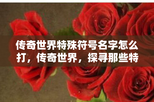 传奇世界特殊符号名字怎么打，传奇世界，探寻那些特殊角色的魅力