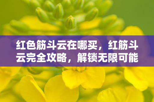 红色筋斗云在哪买，红筋斗云完全攻略，解锁无限可能的云端之旅