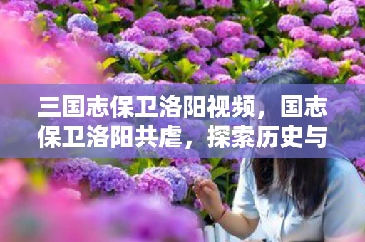 三国志保卫洛阳视频，国志保卫洛阳共虐，探索历史与文化的深度交融