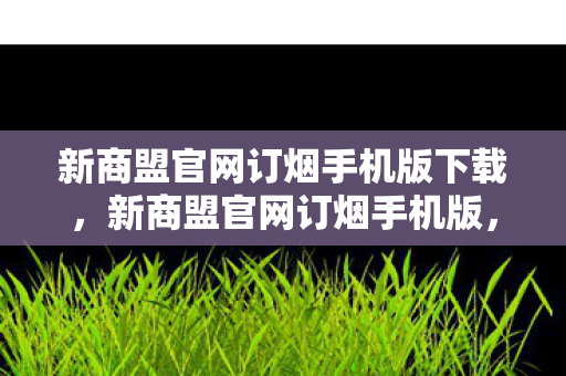 新商盟官网订烟手机版下载，新商盟官网订烟手机版，便捷高效的烟草订购新体验
