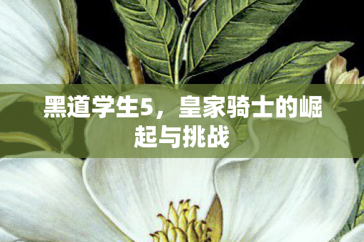 黑道学生5，皇家骑士的崛起与挑战
