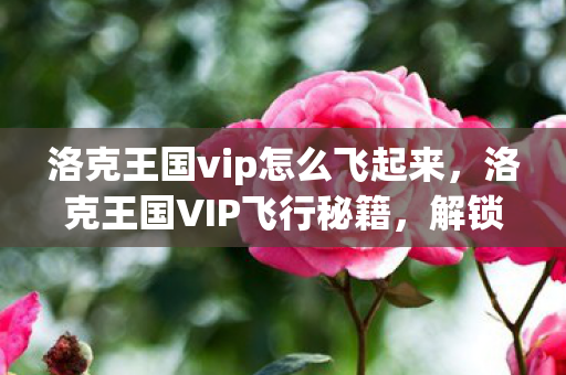 洛克王国vip怎么飞起来，洛克王国VIP飞行秘籍，解锁专属飞行特权