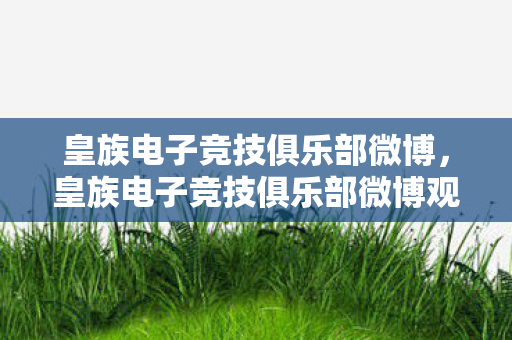 皇族电子竞技俱乐部微博，皇族电子竞技俱乐部微博观察，电竞新星的崛起与挑战