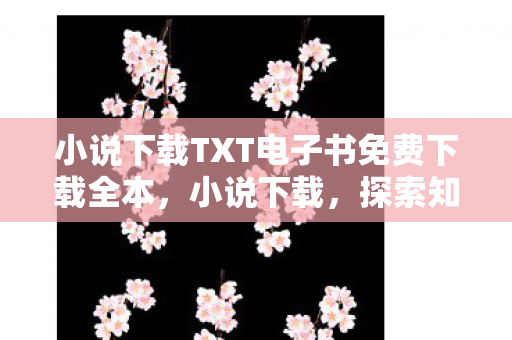 小说下载TXT电子书免费下载全本，小说下载，探索知识的海洋，享受阅读的乐趣