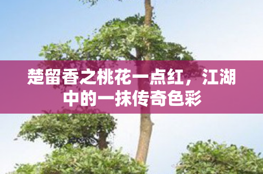 楚留香之桃花一点红，江湖中的一抹传奇色彩