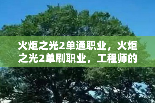 火炬之光2单通职业，火炬之光2单刷职业，工程师的独狼之旅