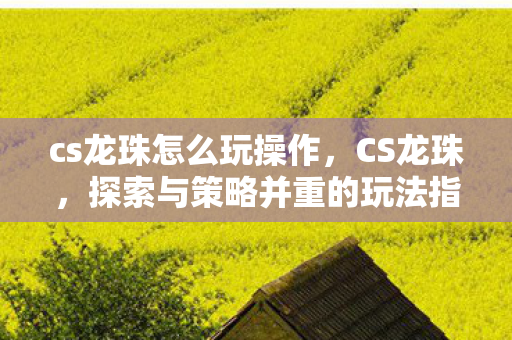 cs龙珠怎么玩操作，CS龙珠，探索与策略并重的玩法指南