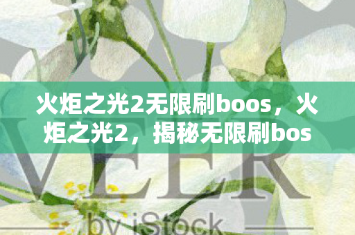 火炬之光2无限刷boos，火炬之光2，揭秘无限刷boss的奥秘