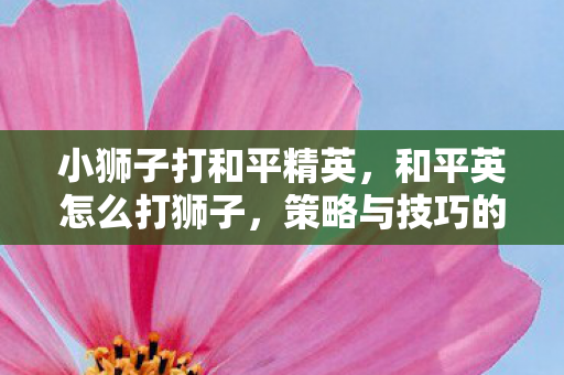 小狮子打和平精英,和平英怎么打狮子,策略与技巧的深度解析 小狮子打和平精英,和平英怎么打狮子,策略与技巧的深度解析