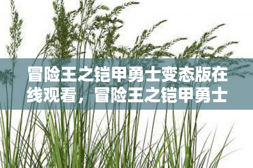 冒险王之铠甲勇士变态版在线观看,冒险王之铠甲勇士变态版,解锁全新战斗体验 冒险王之铠甲勇士变态版在线观看,冒险王之铠甲勇士变态版,解锁全新战斗体验
