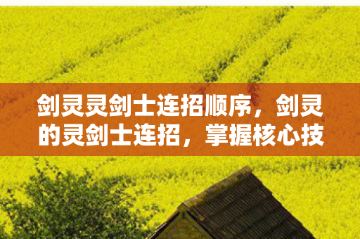 剑灵灵剑士连招顺序,剑灵的灵剑士连招,掌握核心技巧,提升战斗效率 剑灵灵剑士连招顺序,剑灵的灵剑士连招,掌握核心技巧,提升战斗效率