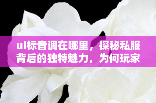 ui标音调在哪里,探秘私服背后的独特魅力,为何玩家趋之若鹜? ui标音调在哪里,探秘私服背后的独特魅力,为何玩家趋之若鹜?