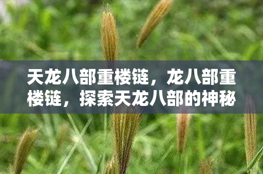 天龙八部重楼链，龙八部重楼链，探索天龙八部的神秘世界