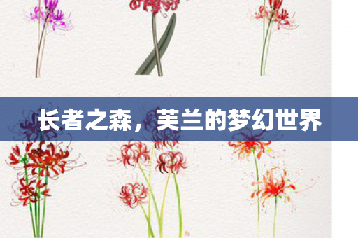 长者之森，芙兰的梦幻世界