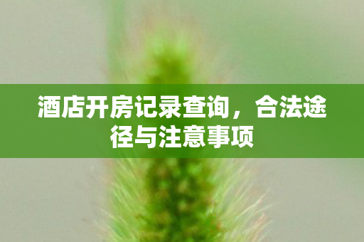 酒店开房记录查询，合法途径与注意事项