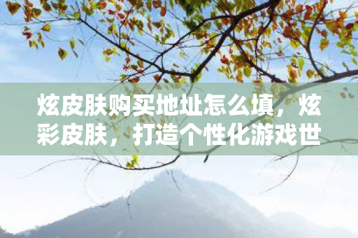 炫皮肤购买地址怎么填，炫彩皮肤，打造个性化游戏世界的必备神器