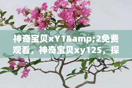 神奇宝贝xY1&2免费观看，神奇宝贝xy125，探索未知世界的奇妙旅程