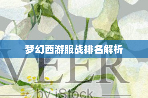 梦幻西游服战排名解析