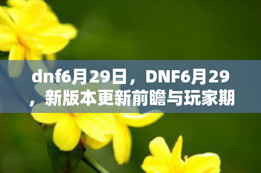 dnf6月29日，DNF6月29，新版本更新前瞻与玩家期待
