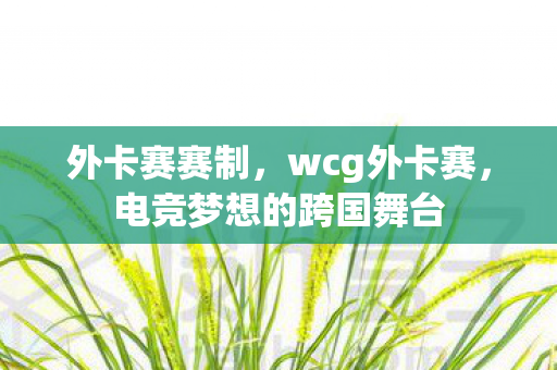 外卡赛赛制，wcg外卡赛，电竞梦想的跨国舞台