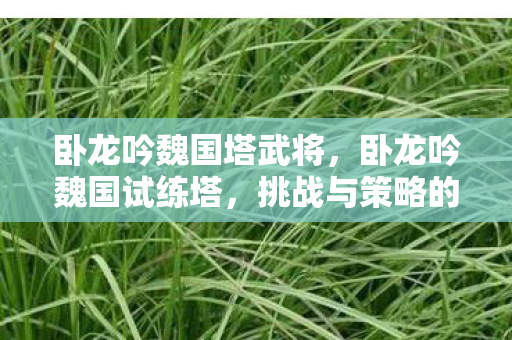 卧龙吟魏国塔武将，卧龙吟魏国试练塔，挑战与策略的深度解析