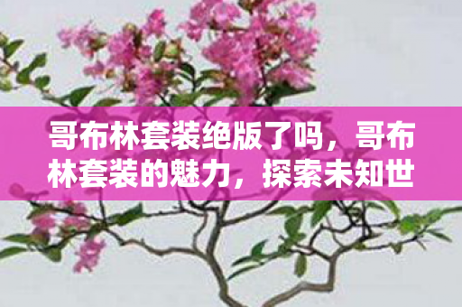 哥布林套装绝版了吗，哥布林套装的魅力，探索未知世界的勇气与荣耀