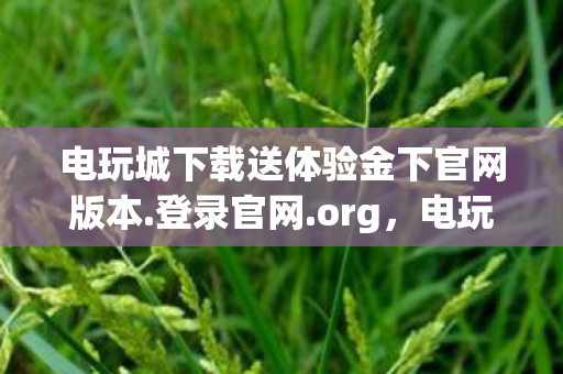 电玩城下载送体验金下官网版本.登录官网.org，电玩城下载，探索正版游戏的便捷之路