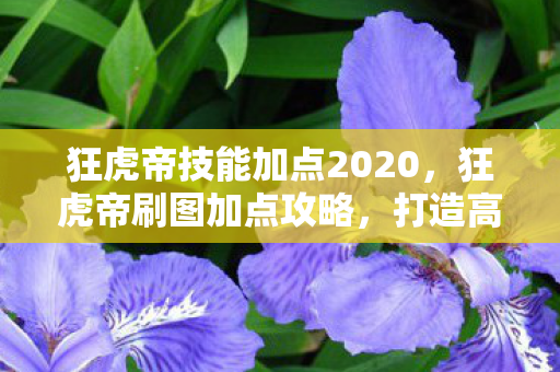 狂虎帝技能加点2020，狂虎帝刷图加点攻略，打造高效战斗力的关键