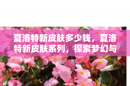 夏洛特新皮肤多少钱，夏洛特新皮肤系列，探索梦幻与现实的交界