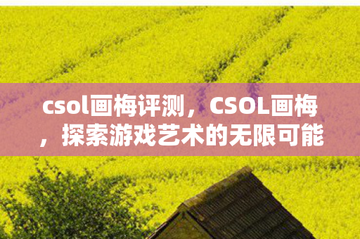 csol画梅评测，CSOL画梅，探索游戏艺术的无限可能