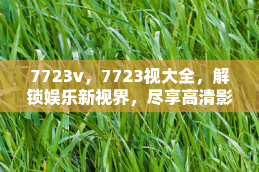 7723v，7723视大全，解锁娱乐新视界，尽享高清影视盛宴