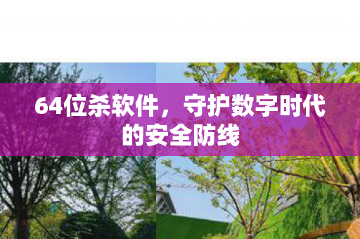 64位杀软件，守护数字时代的安全防线