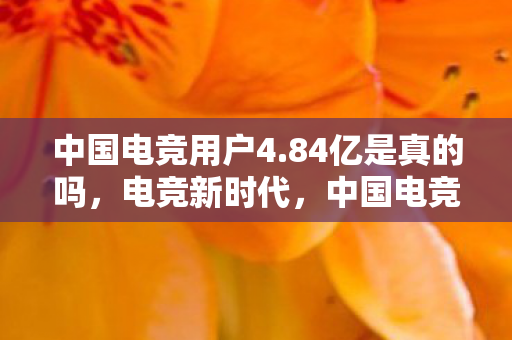 中国电竞用户4.84亿是真的吗,电竞新时代,中国电竞用户4.84亿的崛起与未来展望 中国电竞用户4.84亿是真的吗,电竞新时代,中国电竞用户4.84亿的崛起与未来展望