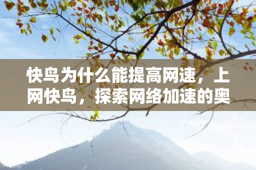 快鸟为什么能提高网速,上网快鸟,探索网络加速的奥秘 快鸟为什么能提高网速,上网快鸟,探索网络加速的奥秘