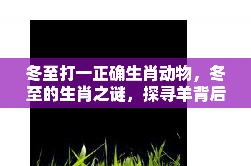 冬至打一正确生肖动物，冬至的生肖之谜，探寻羊背后的文化寓意