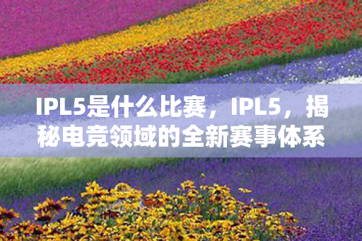 IPL5是什么比赛,IPL5,揭秘电竞领域的全新赛事体系 IPL5是什么比赛,IPL5,揭秘电竞领域的全新赛事体系