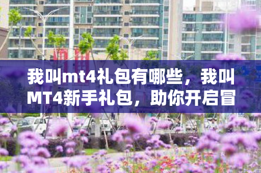 我叫mt4礼包有哪些，我叫MT4新手礼包，助你开启冒险之旅