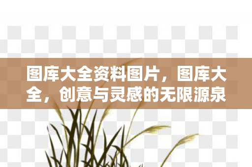 图库大全资料图片，图库大全，创意与灵感的无限源泉