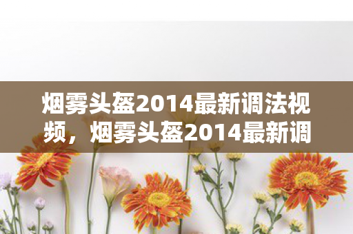 烟雾头盔2014最新调法视频，烟雾头盔2014最新调法，打造游戏战术新优势