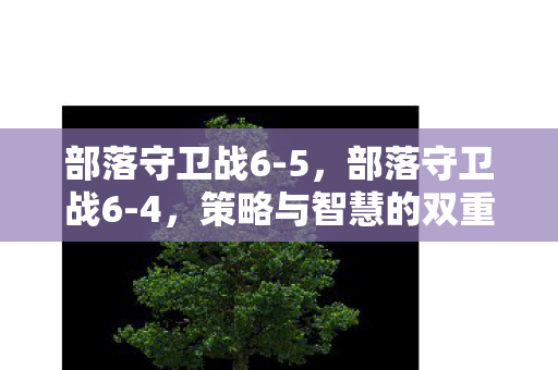 部落守卫战6-5，部落守卫战6-4，策略与智慧的双重挑战