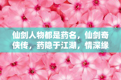 仙剑人物都是药名，仙剑奇侠传，药隐于江湖，情深缘浅