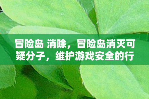 冒险岛 消除，冒险岛消灭可疑分子，维护游戏安全的行动