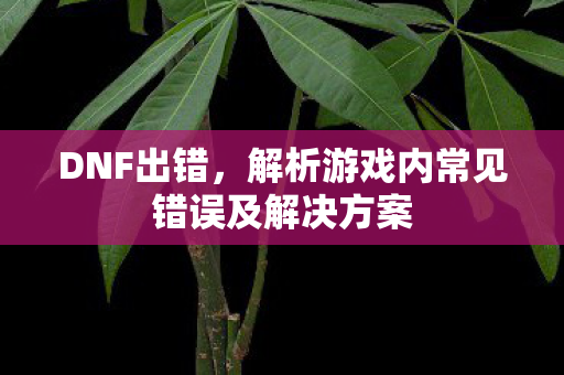 DNF出错，解析游戏内常见错误及解决方案