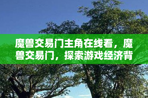 魔兽交易门主角在线看，魔兽交易门，探索游戏经济背后的秘密