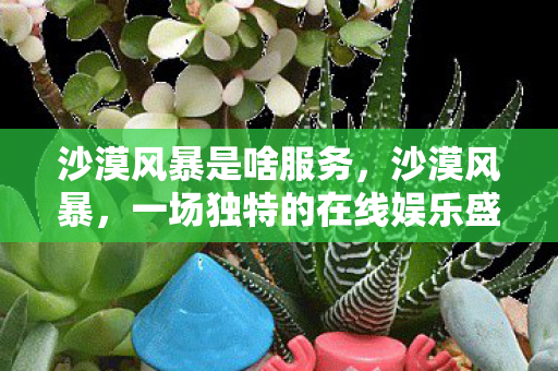 沙漠风暴是啥服务，沙漠风暴，一场独特的在线娱乐盛宴