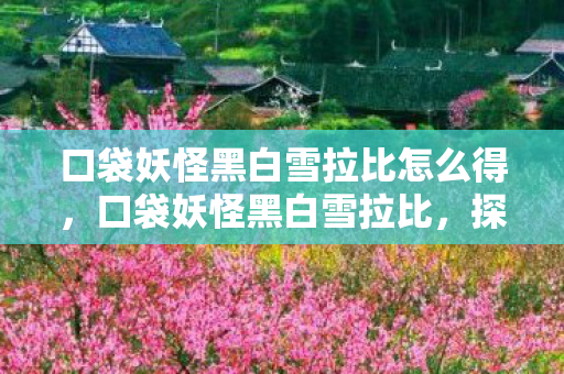 口袋妖怪黑白雪拉比怎么得，口袋妖怪黑白雪拉比，探索神秘世界的奇妙旅程