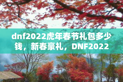 dnf2022虎年春节礼包多少钱，新春豪礼，DNF2022虎年礼包震撼登场